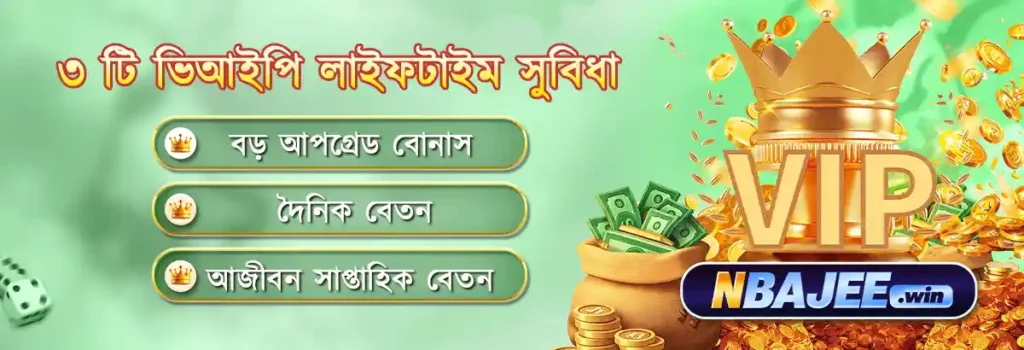 Final Thoughts: Download NBajee Today